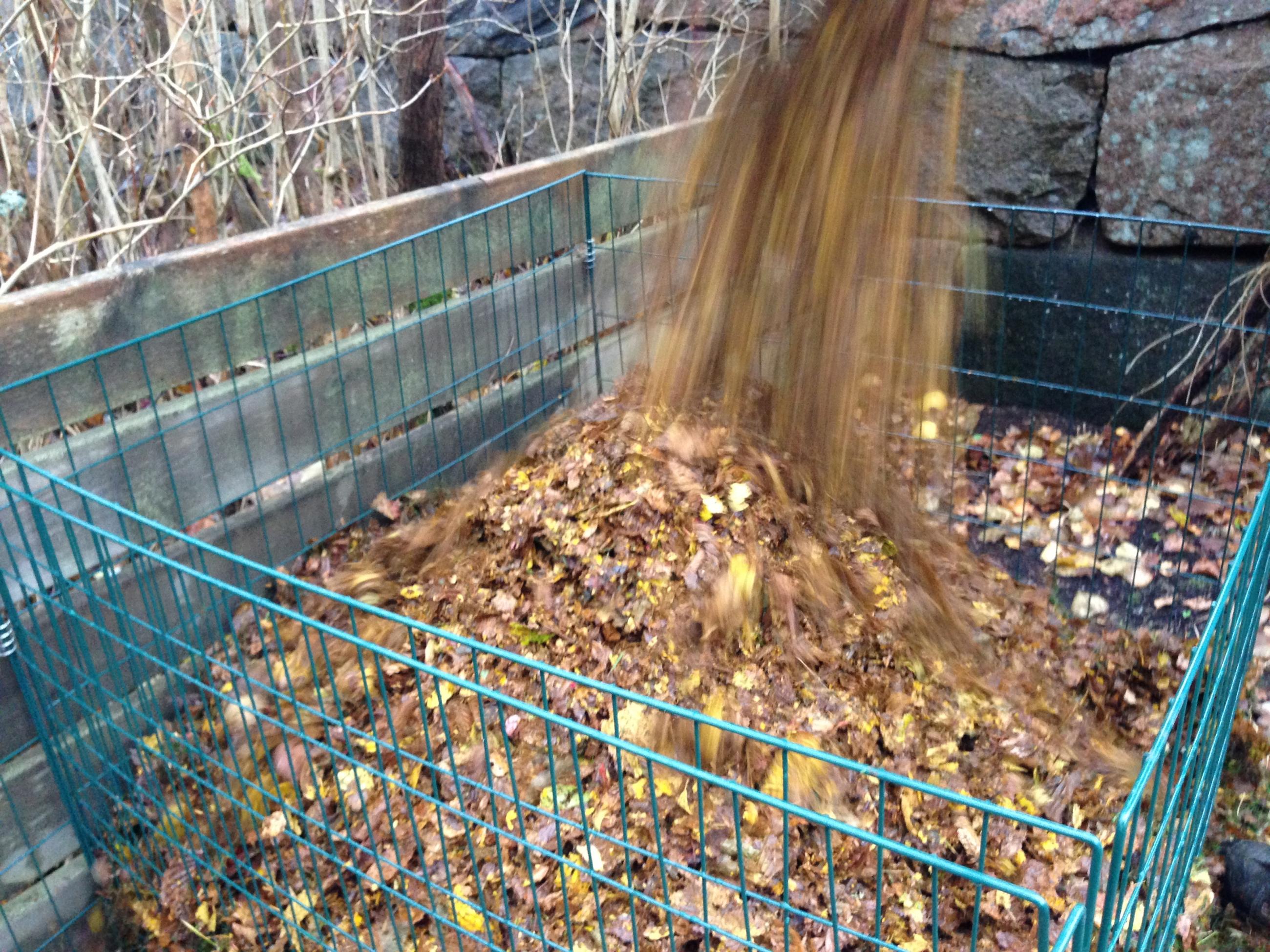Häller löv i kompost